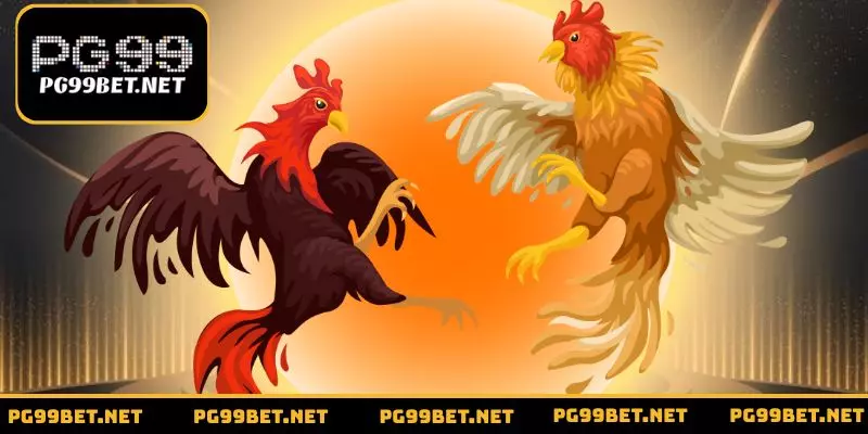 Hình thức đá gà cựa sắt bạn nên biết khi trải nghiệm