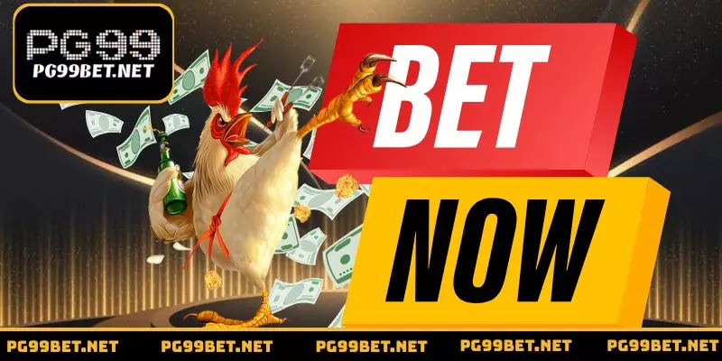 Hình thức chọi gà tre linh hoạt và nhanh chóng