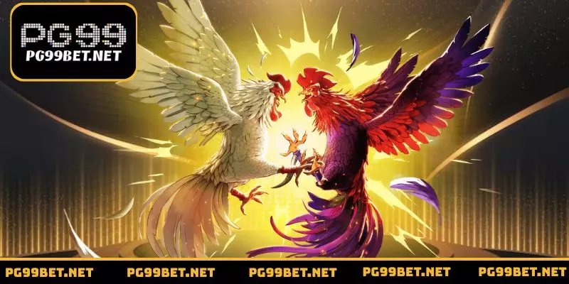 Thiết lập kho ưu đãi hậu hĩnh khi trải nghiệm đá gà