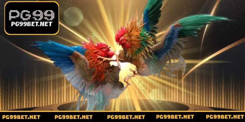 Ưu điểm tiện ích chỉ có tại sảnh đá gà PG99